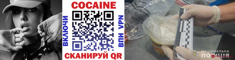 где можно купить   кракен ТОР  COCAIN Fish Scale  Полярный 