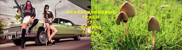 прущий лед Арсеньев