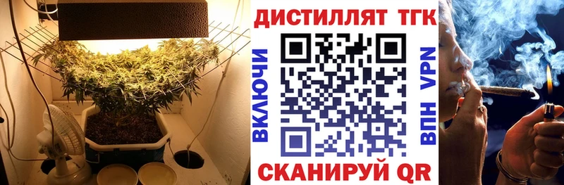 Дистиллят ТГК Wax  дарнет шоп  Полярный 